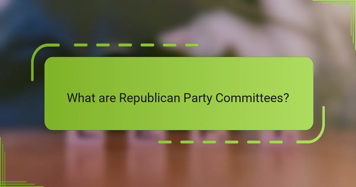 What are Republican Party Committees?